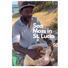 Load image into Gallery viewer, Natural St. Lucian Dried Sea Moss
