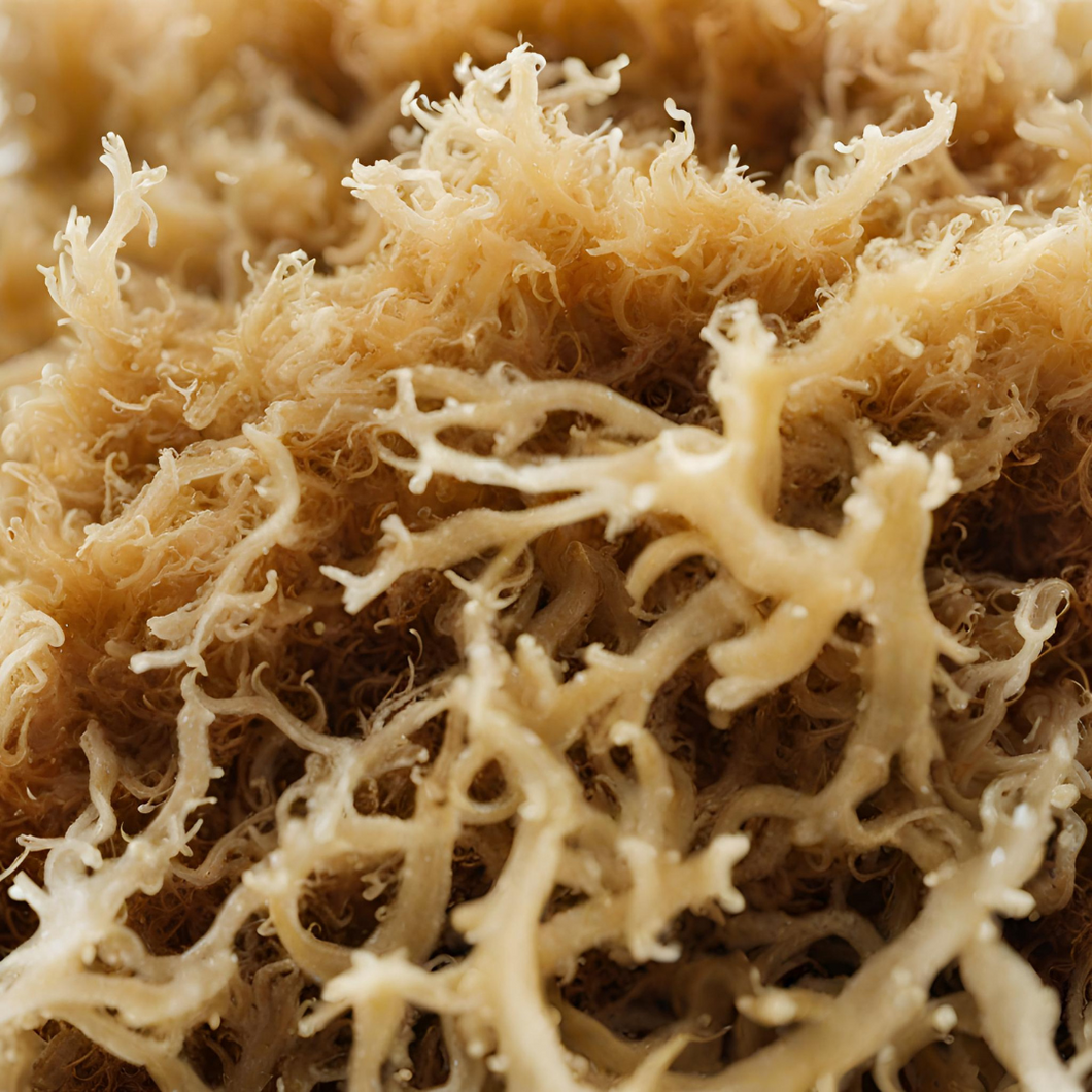 Natural St. Lucian Dried Sea Moss